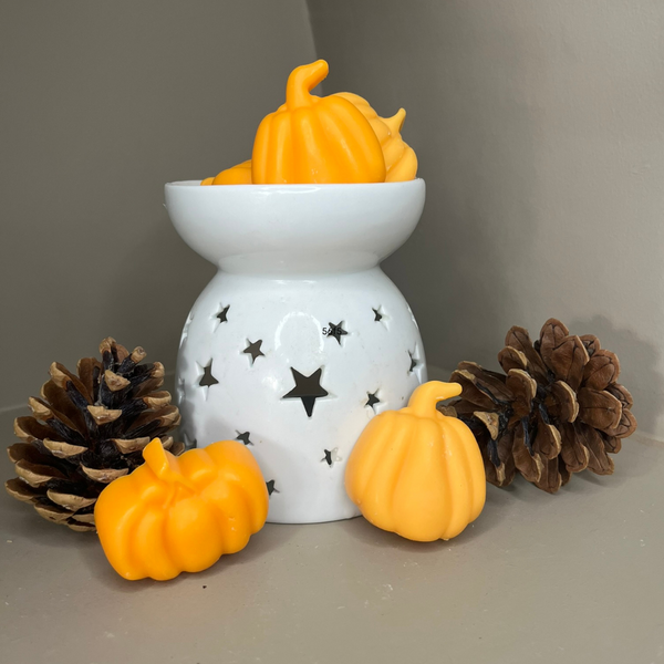 Seasonal Pumpkin Spice Large Wax Melts