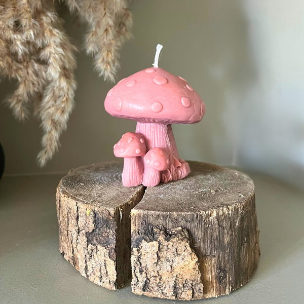 Woodland Fairy Toadstool Soy Candle