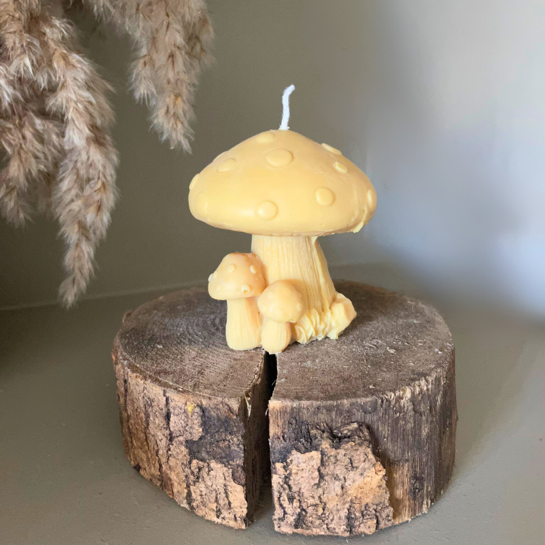 Woodland Fairy Toadstool Soy Candle