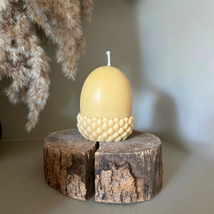 Woodland Acorn Soy Candle