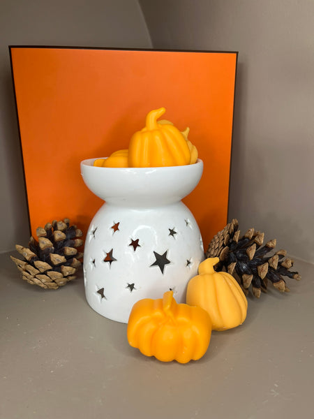 Seasonal Pumpkin Spice Large Wax Melts