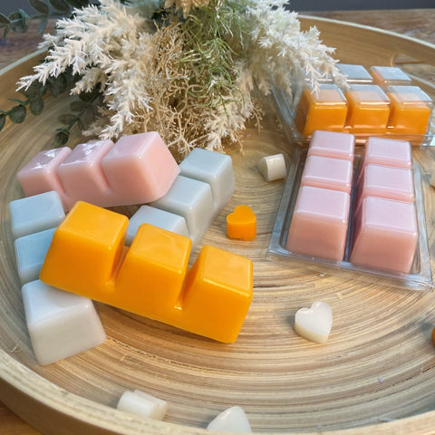 Designer Fragrance Inspired Luxury Soy Wax Melts Sample Box